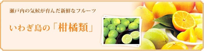 岩城島の柑橘類